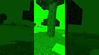 Minecraftın En Büyük Yalanı ?