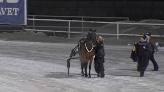 Vidéo de la course PMU PRIX LOPP 4