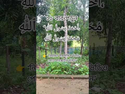 ১১ বার পড়ুন #IslamicReminder #AllahIsWithYou #Faith #Dua #IslamicVideo #unfrezzmyaccount #sad #love