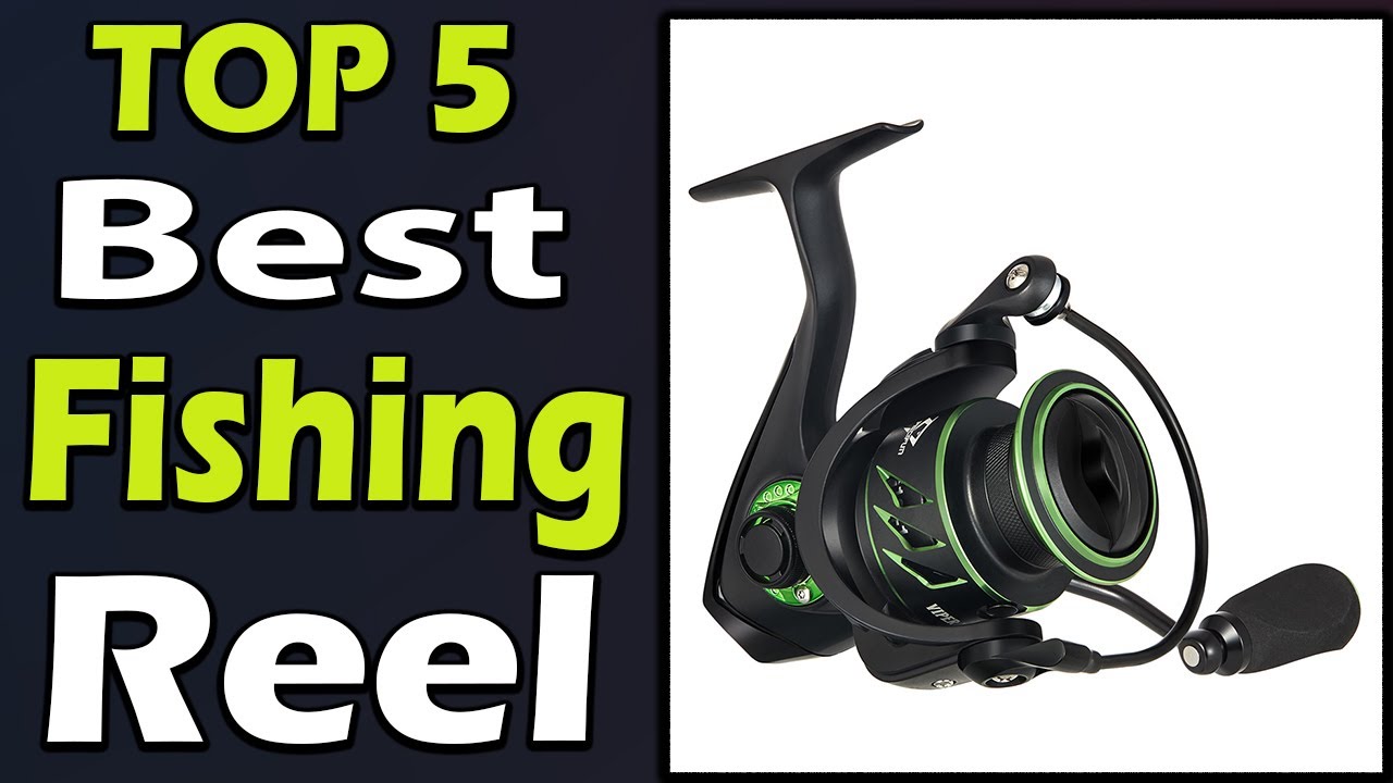 TOP 5 Best Fishing Reel Review 2024 - YouTube