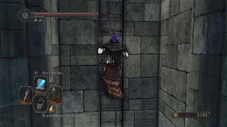 Dark Souls 2 SotFS - Drangleic Castle (Activating Lift For Kings Passage Key)