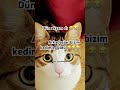 24 Şubat 2026