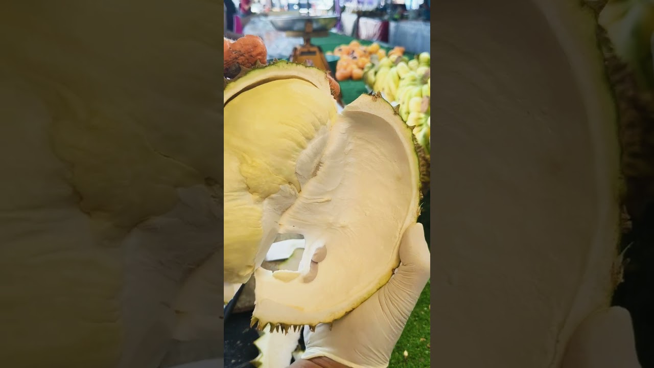 ลูกอ้วนๆ กลมๆ 