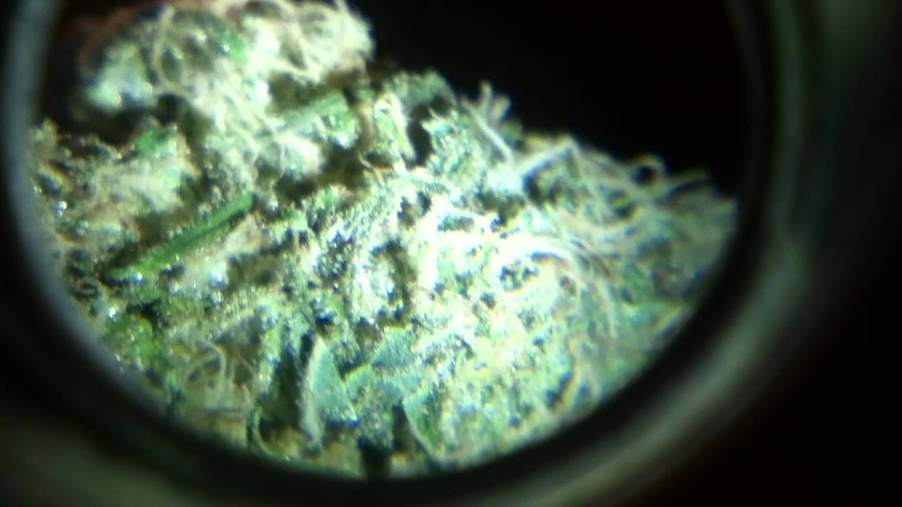 Upclose - Snowcap / Grape Ape / 73 Micron Hash "Full Melt"...