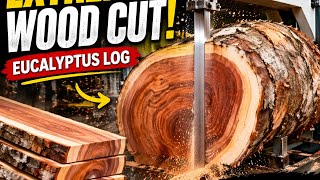 Massive Eucalyptus Log Cutting White Stone Bandsaw In Action