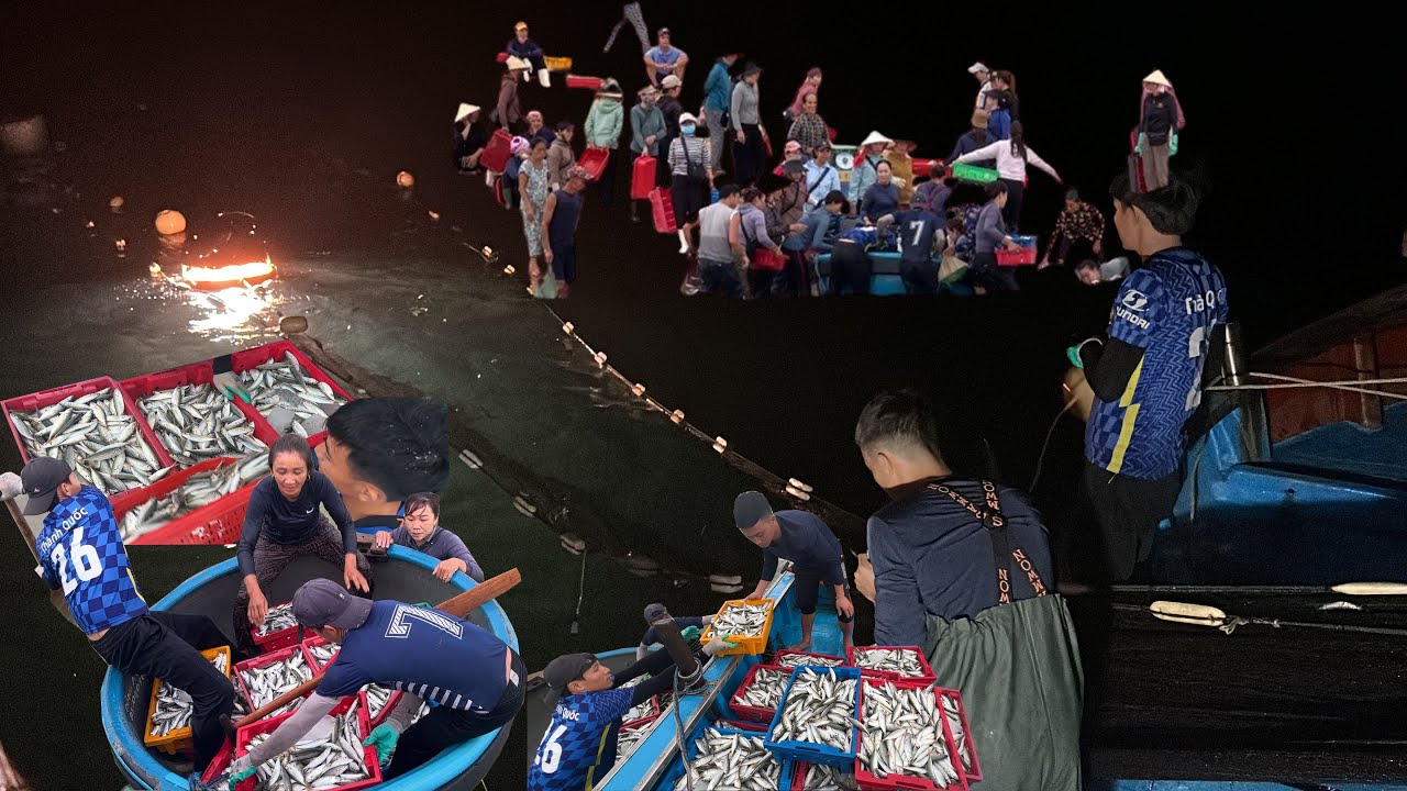 Nghề Đèn Trời Mưa Giông Tranh Thủ Anh Em Chăm Chỉ Ra Khơi Kiếm 10tr 1 Đêm - Dân Biển