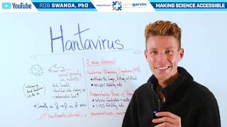 What is Hantavirus?
