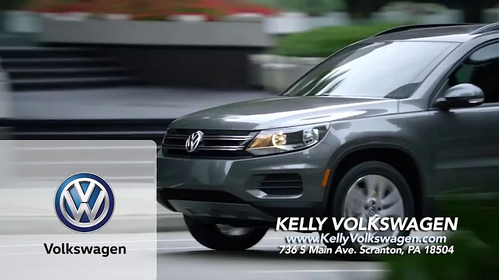 Kelly VW 15 2018