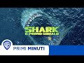 Primi Minuti | Shark: Il Primo Squalo