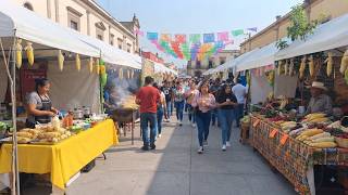 Así inicio LA FERIA DEL ELOTE MÁS GRANDE DE JALISCO 2026 en Tesistán Zapopan | Comí de todo