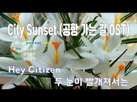 [은성 반주기] City Sunset(공항가는길OST) - 선우정아