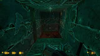 Black Mesa Interloper Bug