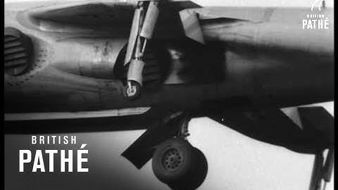 N.A.T.O. Sees Kestrel (1965)