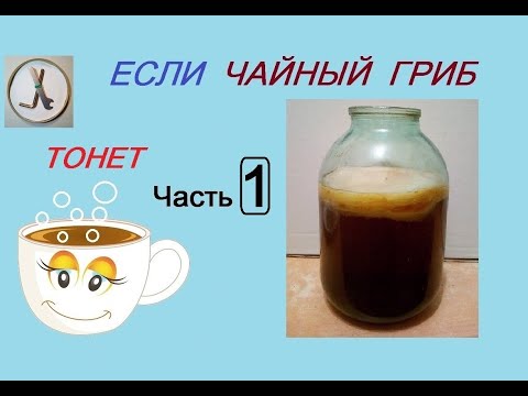 Если ЧАЙНЫЙ ГРИБ ТОНЕТ (часть 1) - что делать? "Реанимация" чайного гриба. Используем шумовку