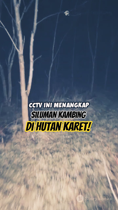 🔴 HUTAN KARET INI DIKATAKAN TEMPAT BERSEMBUNYI SILUMAN KAMBING! 🐐🌲📹 #SilumanKambing