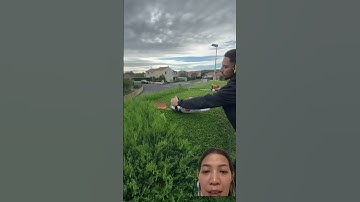 Cắt tỉa cây cảnh đơn giản #beautifultools #satisfyingvideo #satisfying