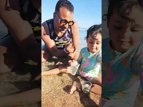 كوتى قمور محركات Funny كامري اكسبلور