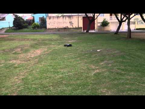 Traxxas E-Revo Brushless