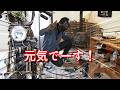【40代無職バツイチ家を買う#161】最近何してますか？忙しいですか？溶接してもらっていいですか？