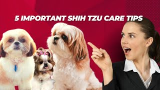 05 Important Shih Tzu Care Tips For Loving Dog Owners by Pups & Pets 14,029 views 7 months ago 5 minutes, 46 seconds