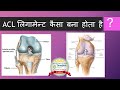 acl anatomy hindi