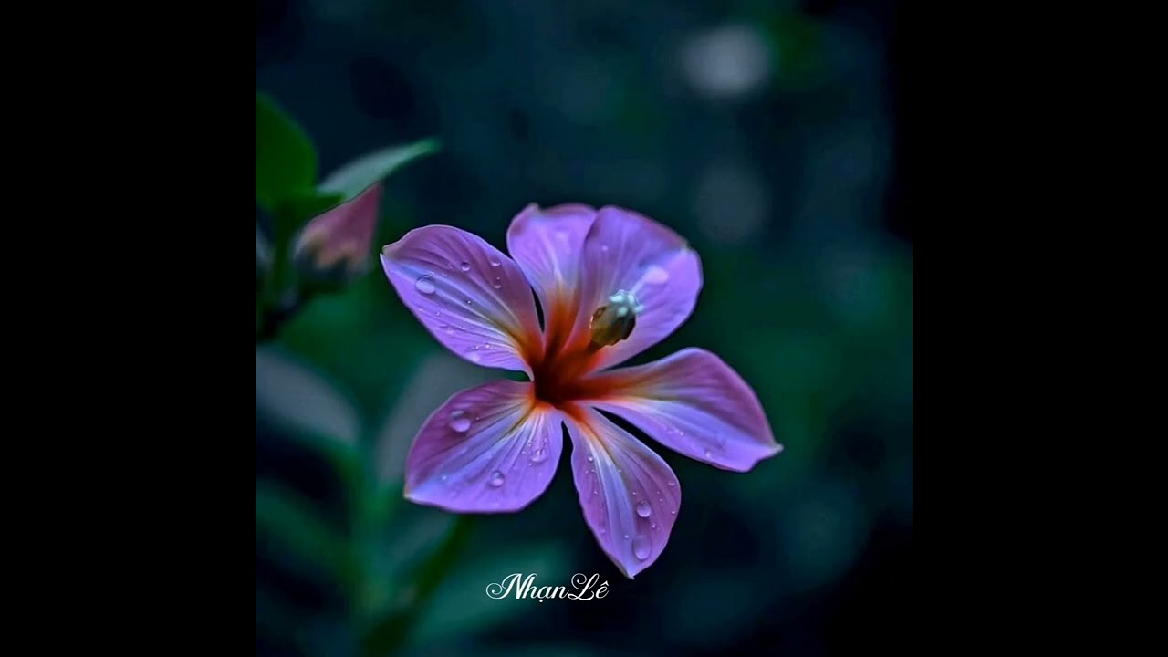 Only You - George Saxon 🎶🌹