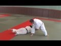 Jujitsu 20 techniques  explicatif  serie c