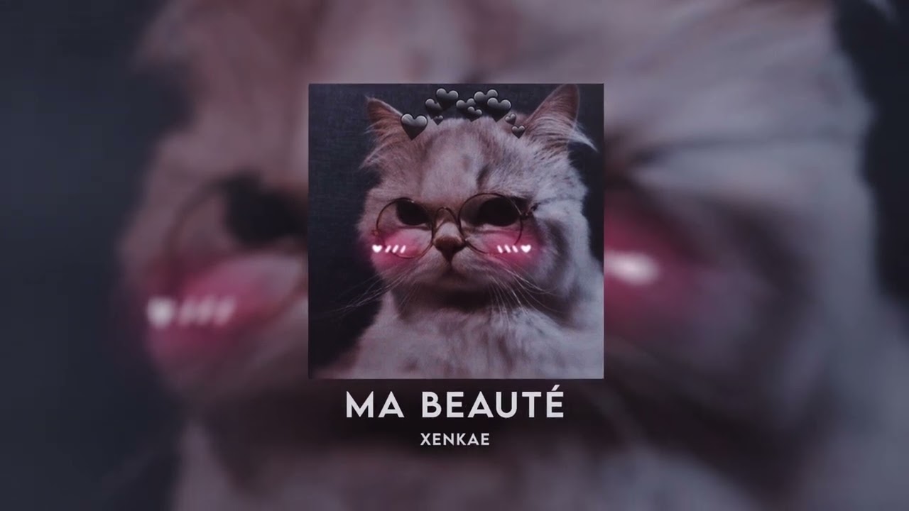 Maître Gims - Ma beauté (Pilule Violette) [SLOWED + REVERBED] audio edit