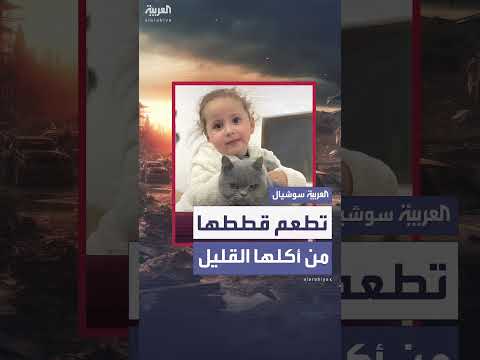 مريم في غزة: قصة طفلة ورعايتها للقطط وسط الحرب