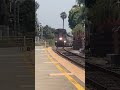 Amtrak train hauling through carlsbad village with nice quilling !#train #amtrak