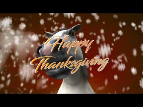 Happy Thanksgiving from The Horsemanship Journey