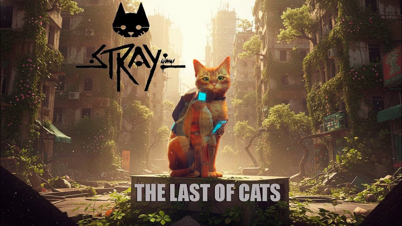 Stray - The Last of Cats - YouTube