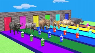 Choose Right Drink With Elephant Gorilla Cow Tiger Dinosaur Wild Animals Max Level Squeeze