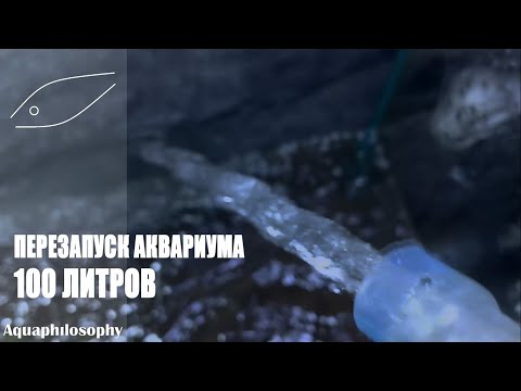 Перезапуск аквариума на