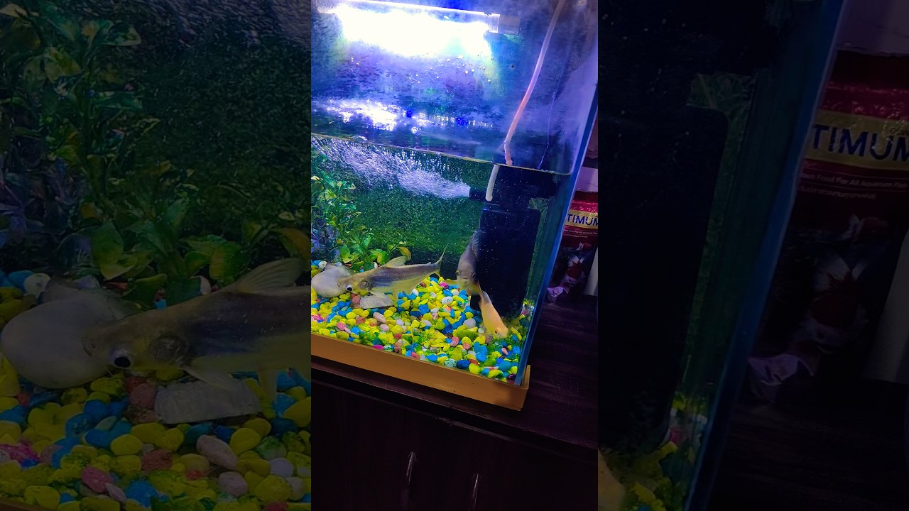 🕋🕋🕋🕋🙏🙏🙏