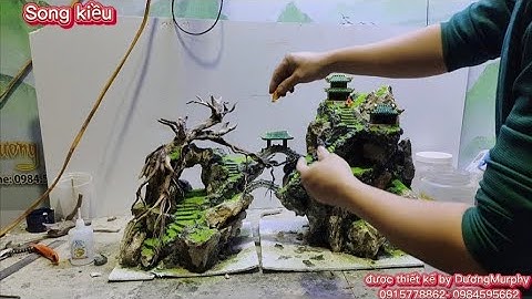 Hướng Dẫn | Gắn Rêu Tiểu Cảnh Bể Cá