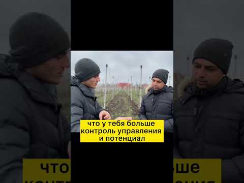 Открытый грунт или