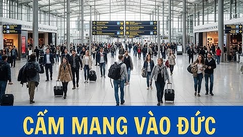 🇩🇪 Sân bay Frankfurt tịch thu hàng loạt quà Tết – Người Việt bị phạt vì mang “đồ tưởng vô hại”!