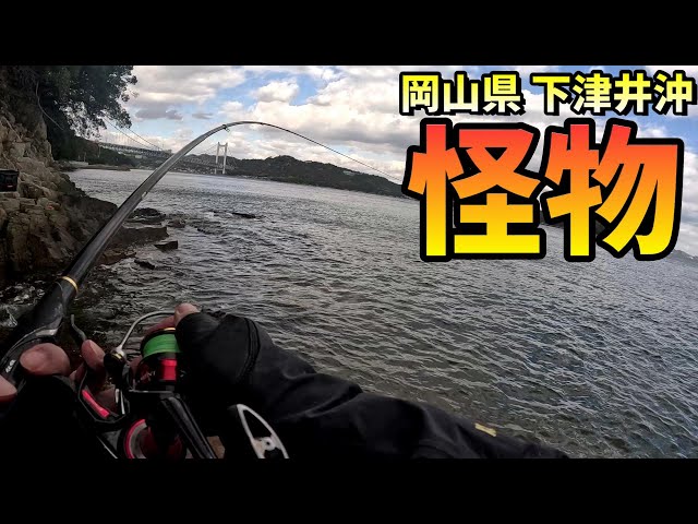 ダイワのタモ枠を新調したらモンスター級の魚が釣れた！in 岡山県
