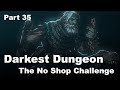 The No Shop Challenge | Darkest Dungeon | 35: Struggle fantasy
