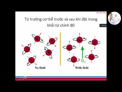 Video: Cách tạo xung điện từ (có hình ảnh)