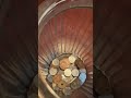 MOST SATISFYING SOUND COINS Shorts Sounds Coins Viral Satisfying Youtubeshorts Trending 