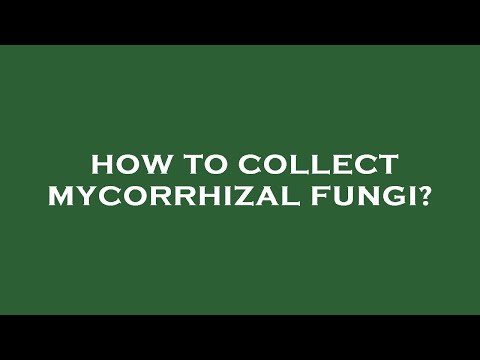 How to collect
