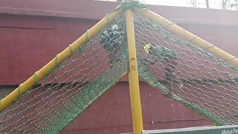 commando net climbing