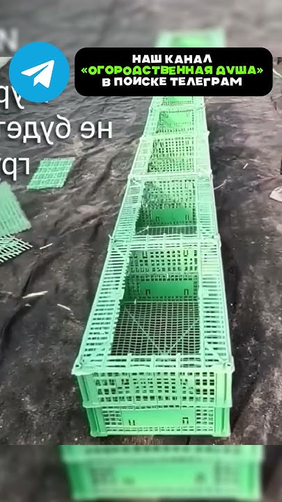 Все дачники были в восторге от этого изобретения #огород #дача #деревня ...