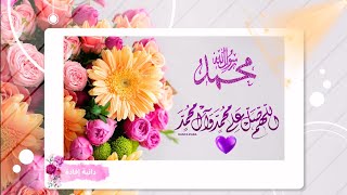 أجمل حالات واتس اب عن الرسول ﷺ❤️💌