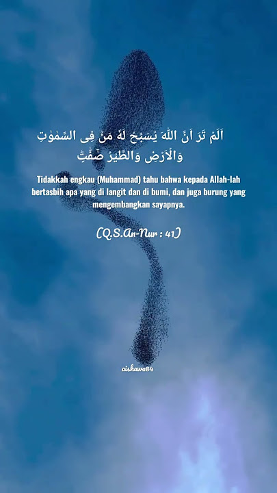 Surah An-Nur ayat 41 || Penjelasan di deskripsi #murottalmerdu #bestrecitation #shorts