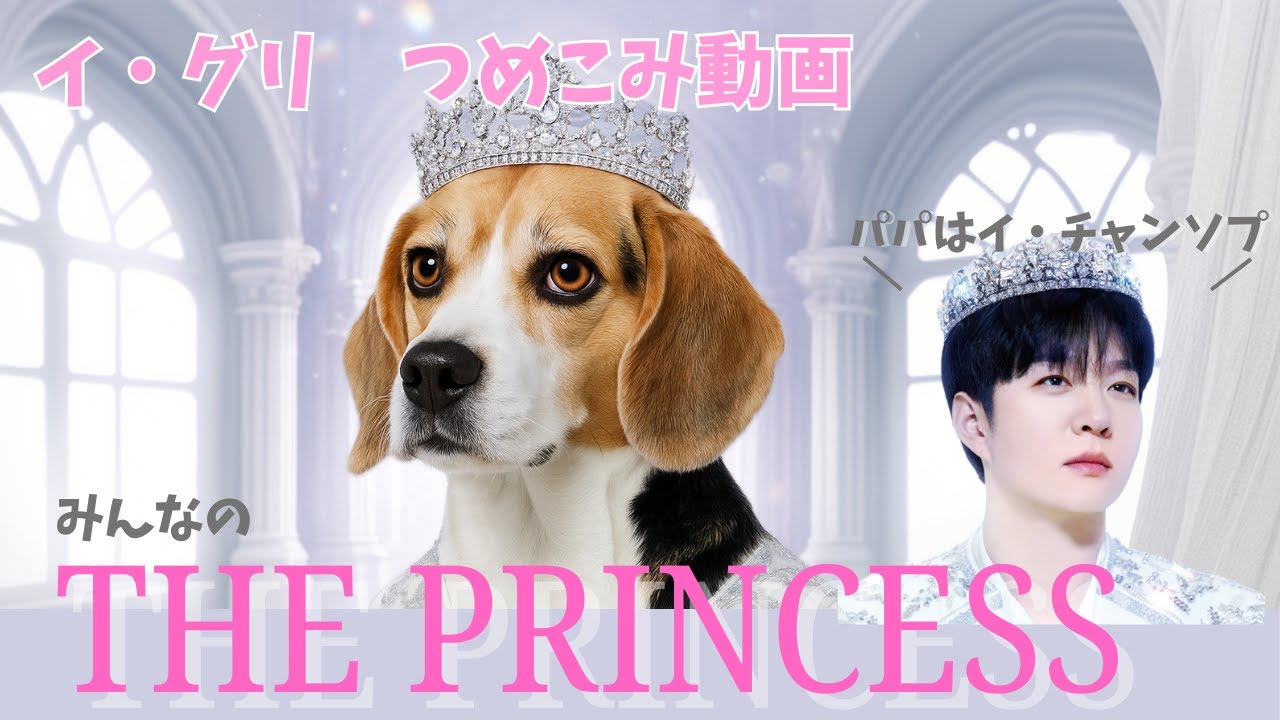 皆んなの姫👸🐶 | BTOB チャンソプの愛娘グリ つめこみ動画