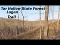 Hiking Logan Trail in Tar Hollow State Forest