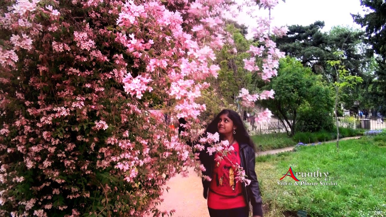 Puberty Ceremony Clip Song - Prithiha (paris)